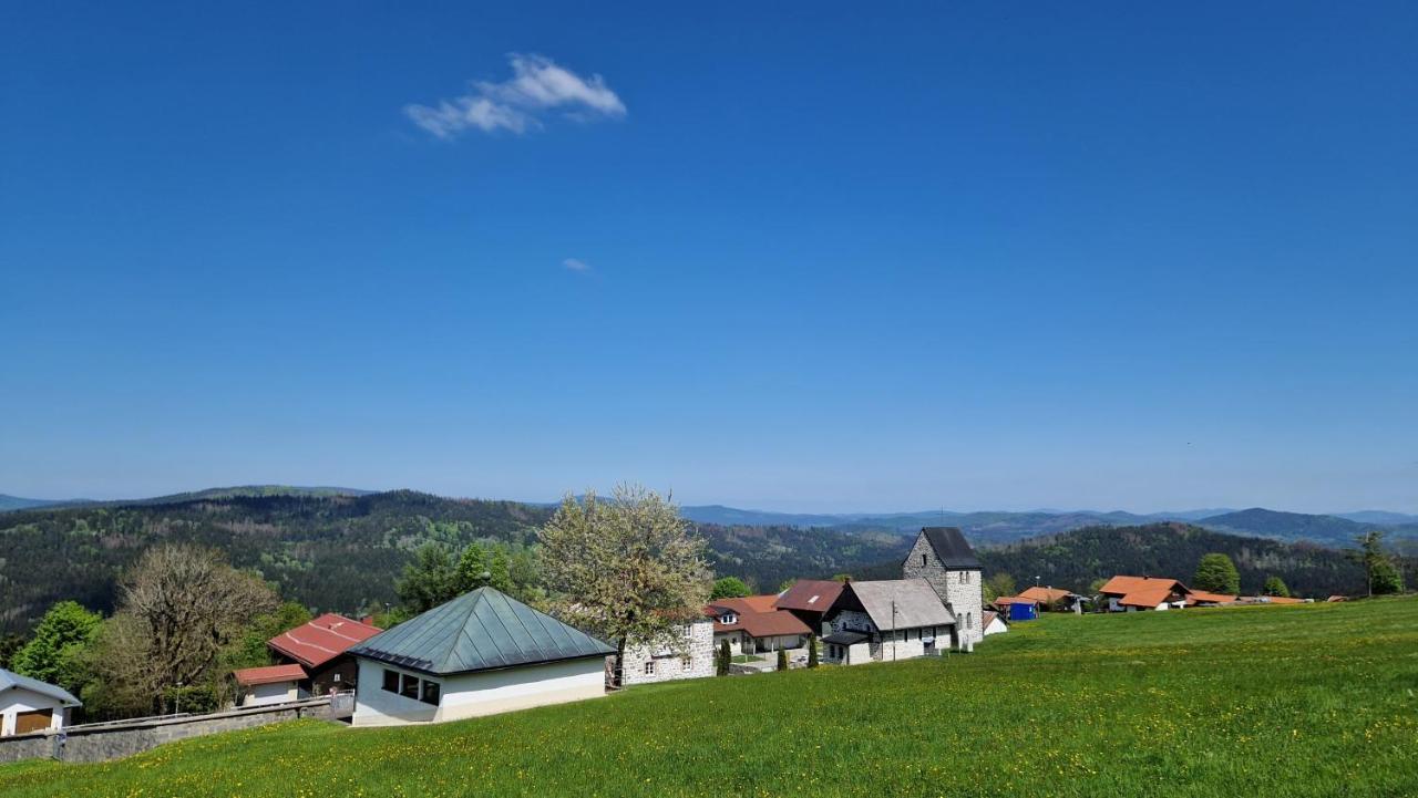 Two Apartaments Almberg - Mitterdorf-Mitterfirmiansreut Exterior foto